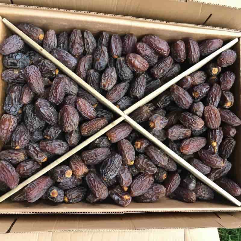 تصویر 4 از خرما پیارم جهرم نیمه خشک مناسب برای صادرات انبوه